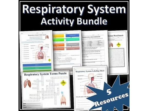 Respiratory System - Science Activity Bundle | Webquest | Puzzles | EDITABLE