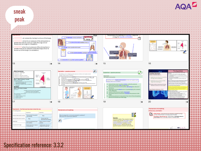 pptx, 14.7 MB