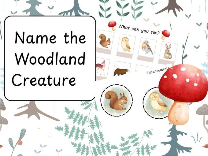 What can you see? Name the woodland creature