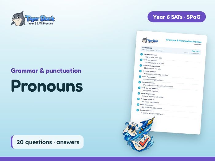Pronouns Worksheet: Year 6 SATs SPaG