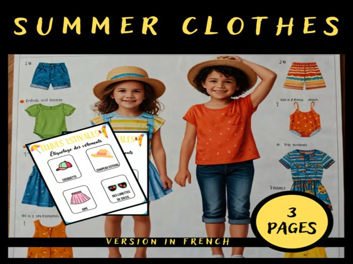 Summer Clothes: Clothing Vocabulary Cards in French