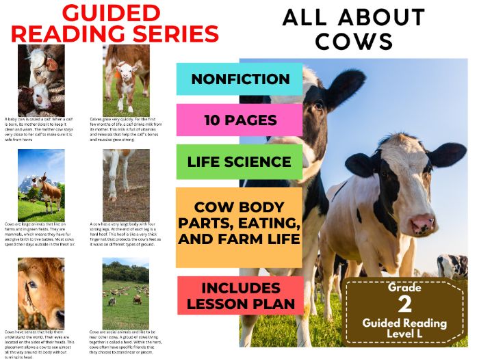 Guided Reading Level L - All About Horses (with Lesson Plan)