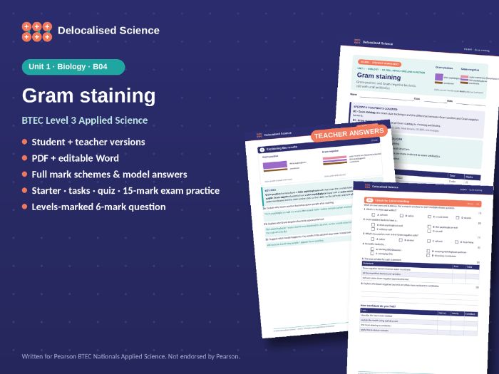 Gram Staining and Antibiotics | BTEC Applied Science Unit 1