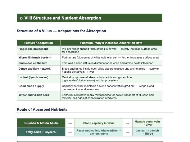 Chapter 7: Human Nutrition — Exam-focused Complete Revision Guide — Cambridge IGCSE Biology 0610