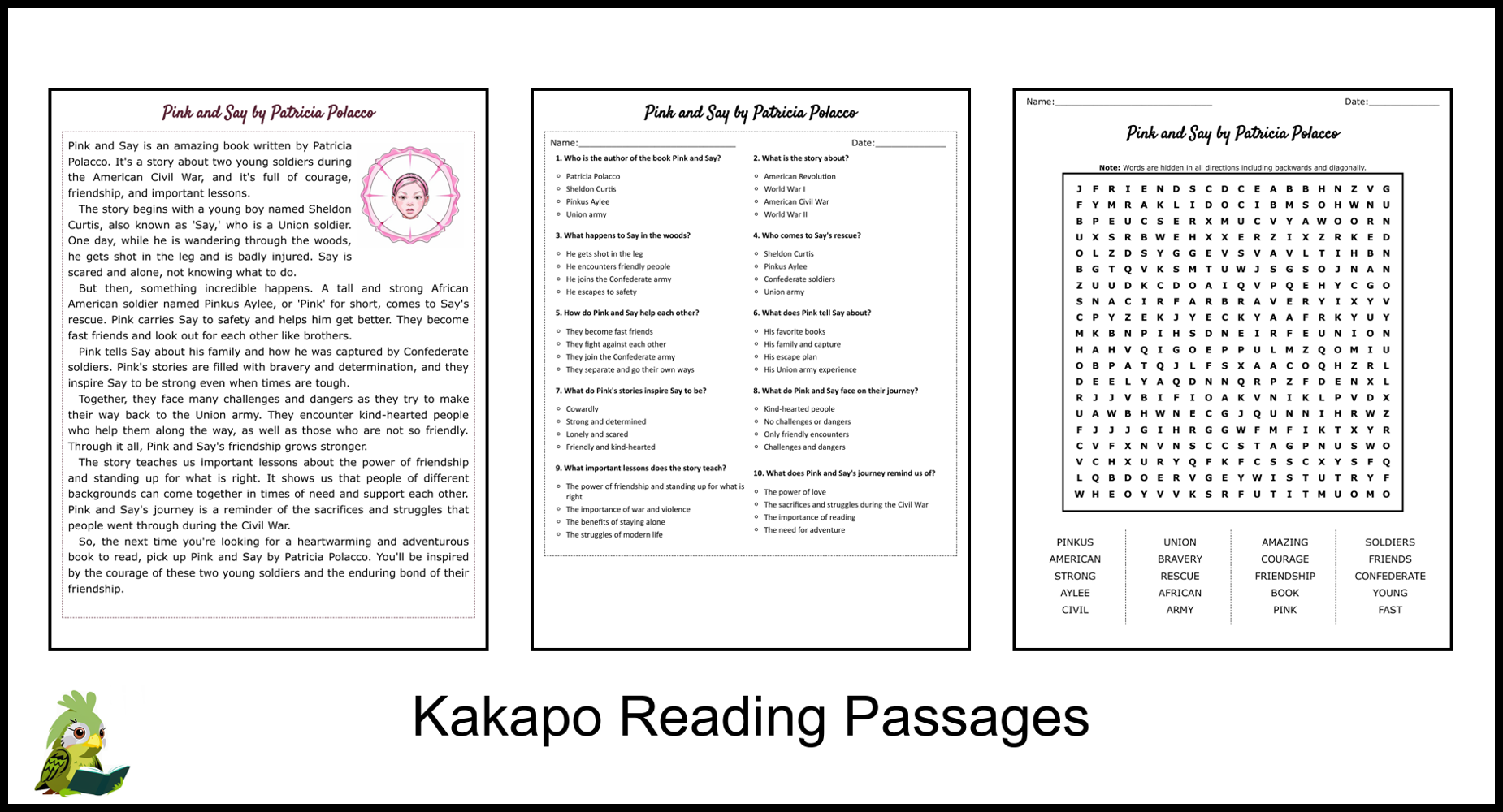 pink-and-say-by-patricia-polacco-reading-comprehension-and-word-search