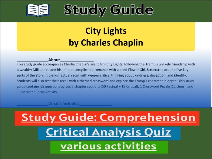Study Guide for :City Lights | Comprehension 91����t