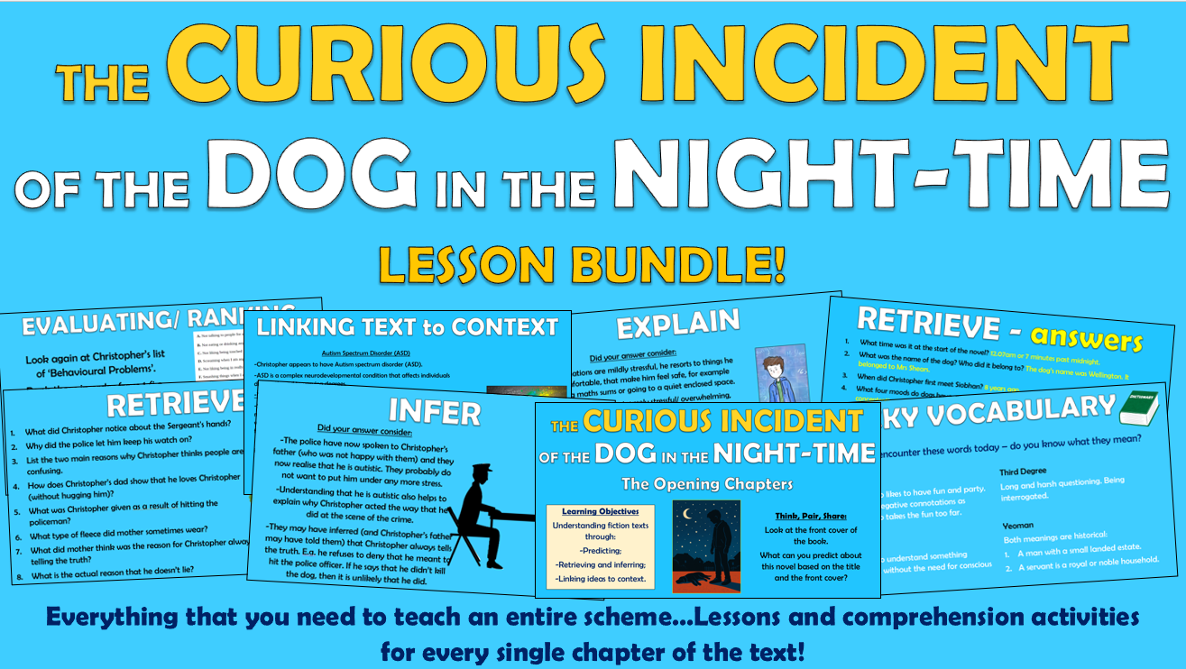 The Curious Incident of the Dog in the Night-time - Lesson Bundle!