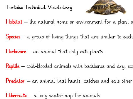 Esio Trot Non-Chron 2 Week Unit