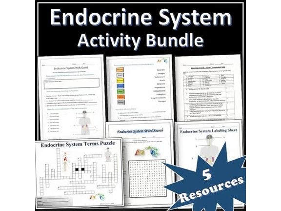 Endocrine System - Science Activity Bundle | Webquest | Puzzles | EDITABLE