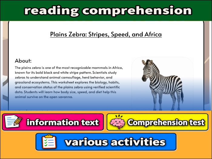 Plains Zebra: Stripes, Speed, and Africa - zoology & Activities