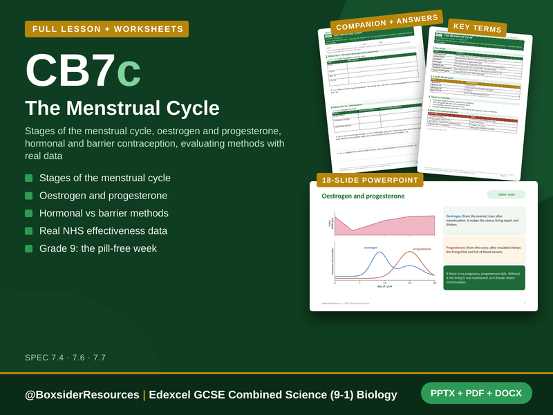 CB7c The Menstrual Cycle | Edexcel GCSE Combined Science (9-1) | Lesson + Worksheet
