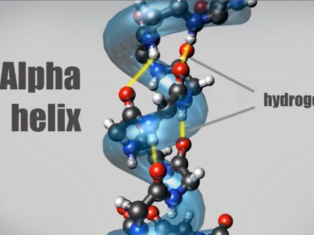 Complete A-Level Biology Lesson: Proteins (Part 1) – Amino Acids & Structural Tiers