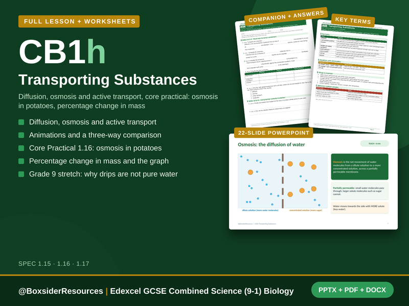 CB1h Transporting Substances | Edexcel GCSE Combined Science (9-1) | Lesson + Worksheet