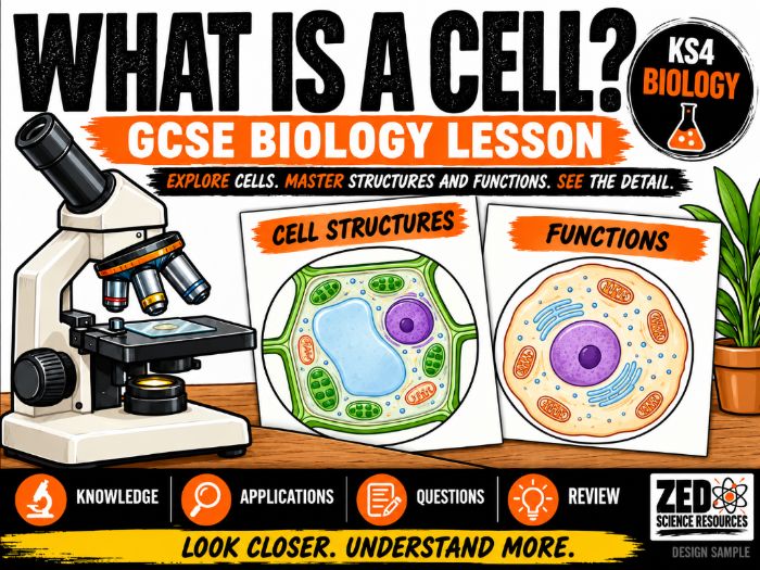 GCSE Biology: What Is a Cell? – Cell Structures and Functions | KS3/4