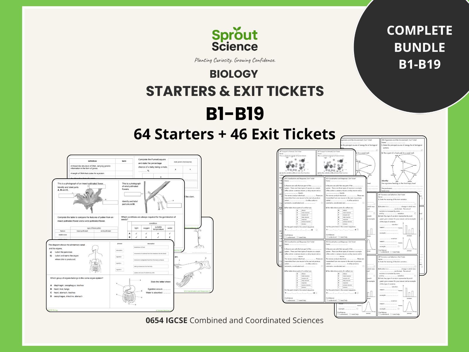 Cambridge IGCSE Co-ordinated Sciences 0654 Biology Starters & Exit Tickets Bundle | Complete B1–B19