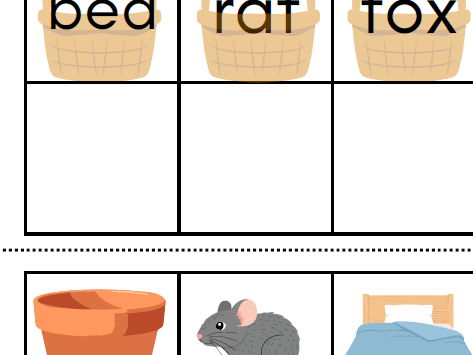 Read and match RWI phonics activity