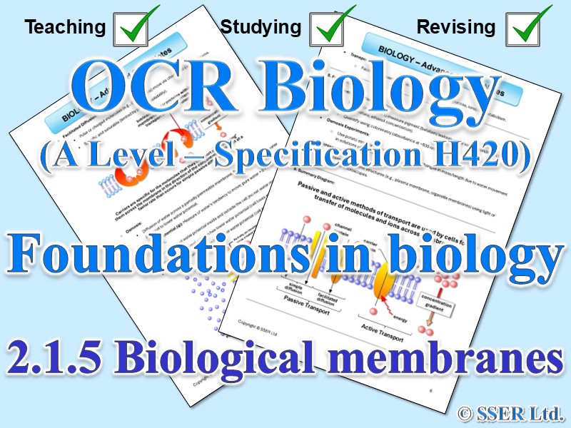 BIOA_OCR Topic Notes: 2.1.5 Biological membranes