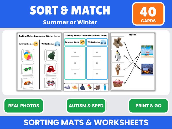 Summer or Winter Sorting Activities