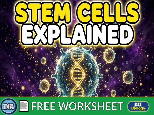 Stem Cells in Animals - FREE KS3 Biology Worksheet