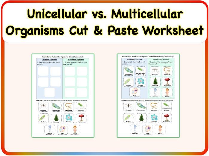 Unicellular vs. Multicellular Organisms - Cut and Paste Worksheet, Printable PDF