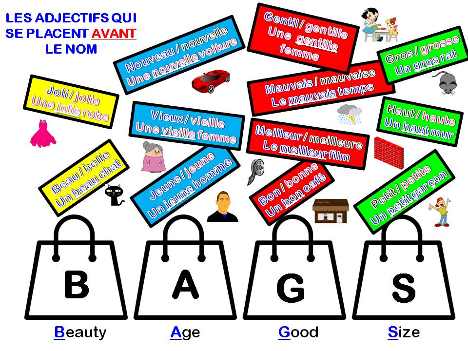 French:  Adjectives which go before the noun