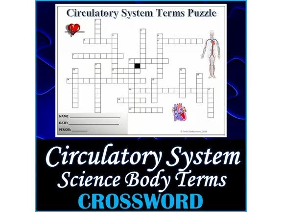 The Circulatory System Science Crossword Puzzle Activity Worksheet