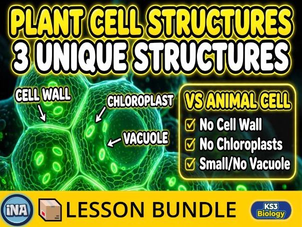 Plant Cell Structures and Their Functions - Complete KS3 Biology Lesson Pack