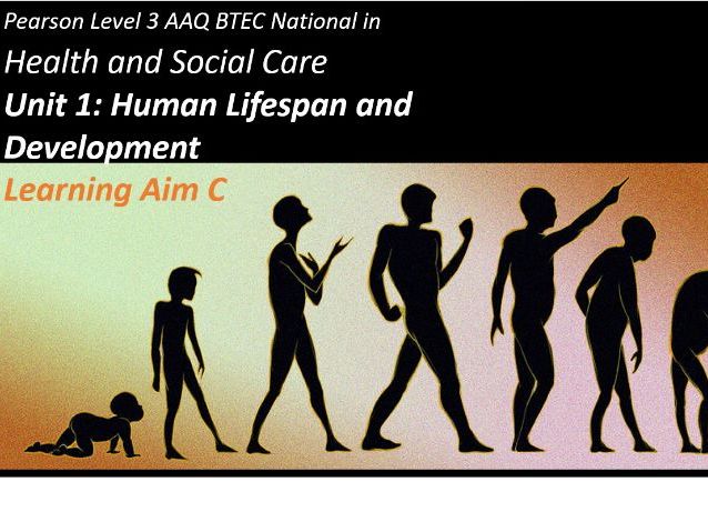 The NEW AAQ Unit 1: Human Lifespan and Development: Learning Aim C full teaching package