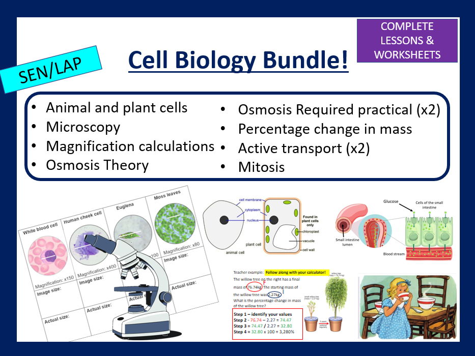 Cell Biology