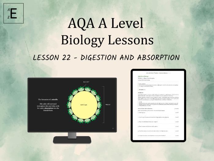 AQA A Level Biology Lesson 22 - Digestion and Absorption
