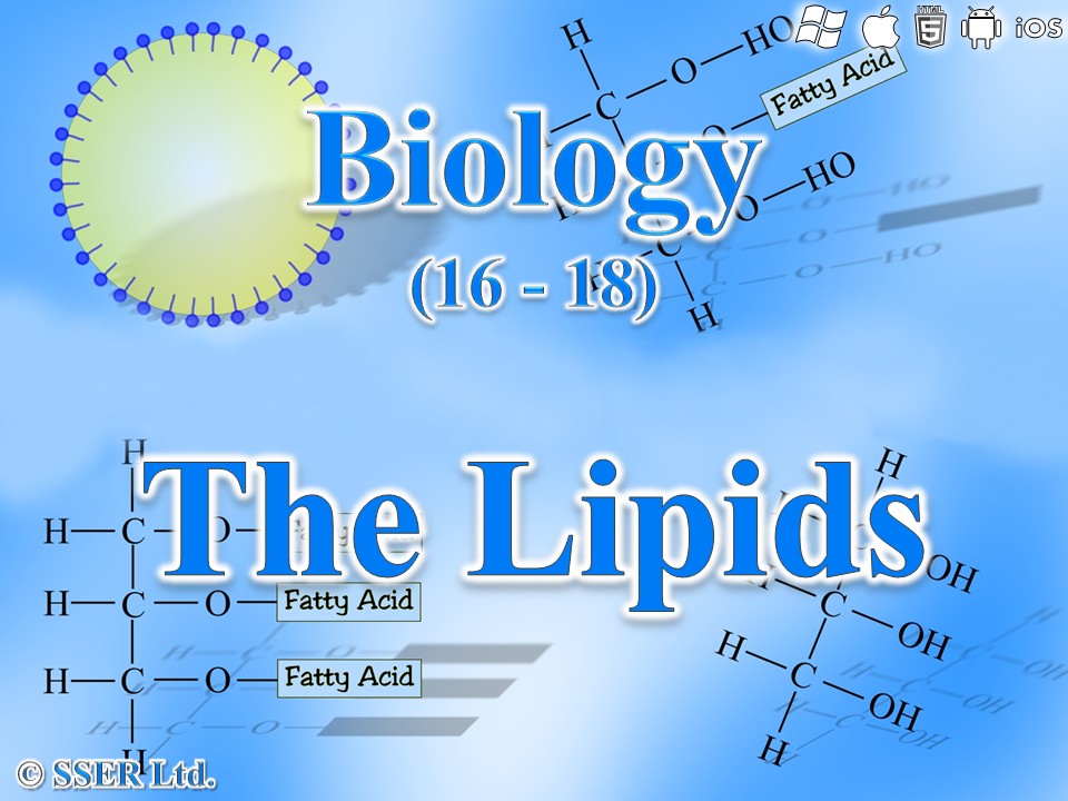 BioA_3.1.3 The Nature of Lipids