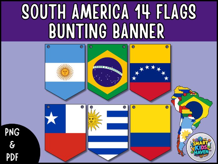 South America Flags Bunting 14 South American Flags Banner Geography Class Decor