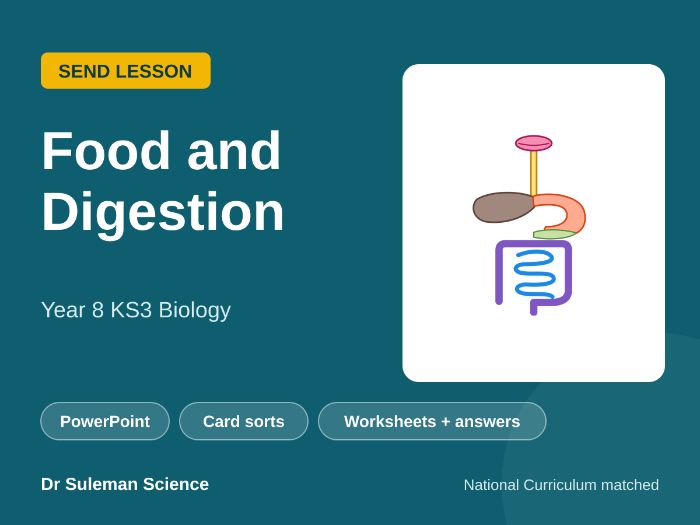 Food and Digestion SEND Lesson KS3 Year 8