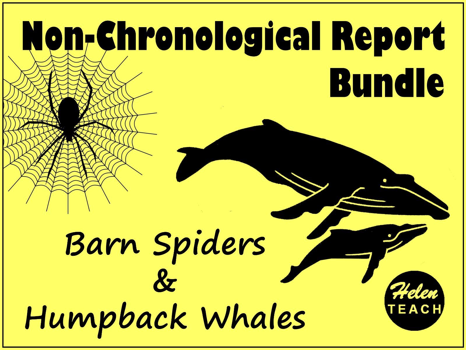animal-non-chronological-report-bundle-teaching-resources