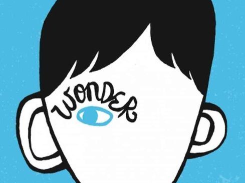 Wonder-RJ Palacio reflective writing unit BGE Level 2/3 KS 2/3