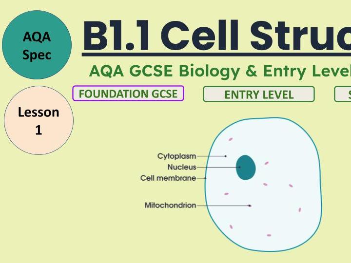 Cell Structure: Animal Cells — AQA GCSE Biology B1 Lesson (SEND / Entry Level Adapted) FREE