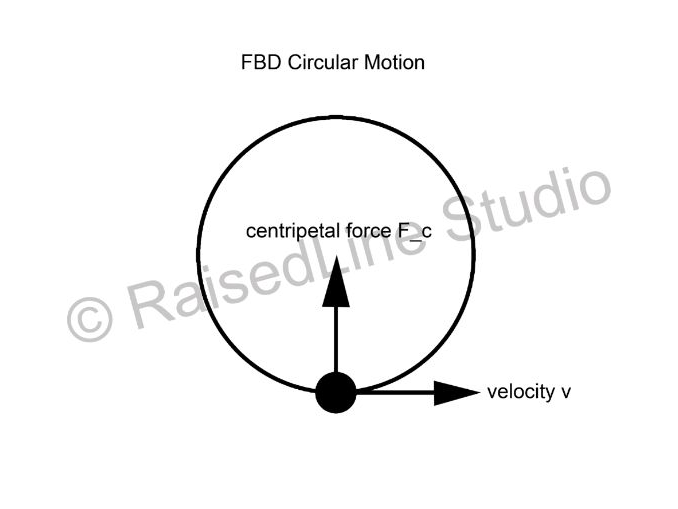 Free Body Diagram | Circular Motion | High Contrast | Print and Tactile