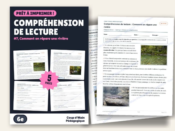 French Reading Comprehension Grade 6 Science | Comment on répare une rivière
