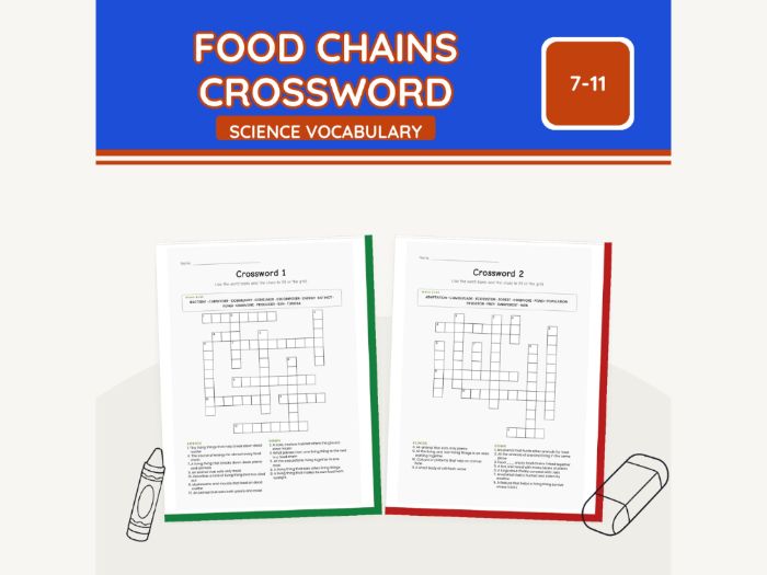 Food Chains Crossword KS2 Science | 9 Sheets