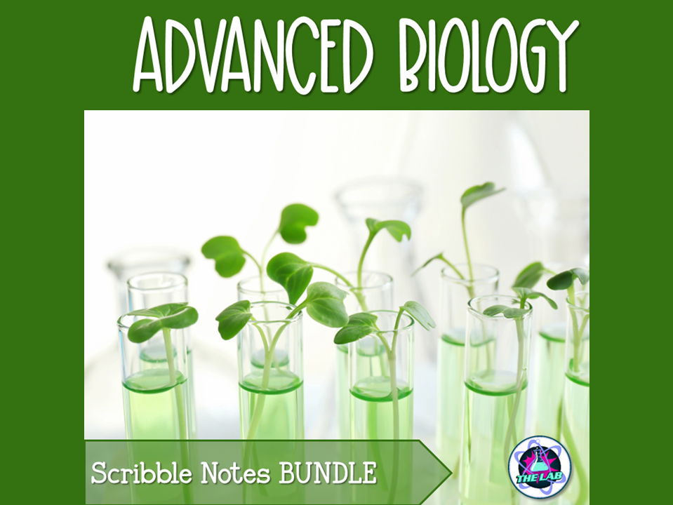 Biology Advanced Scribble Notes Bundle