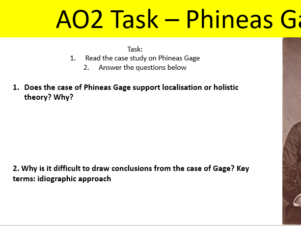 AQA Psychology Biopsychology localisation of function