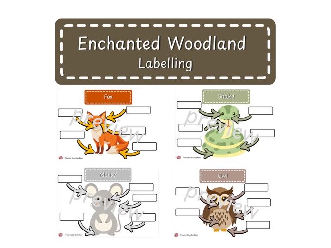 Enchanted Woodland Labelling