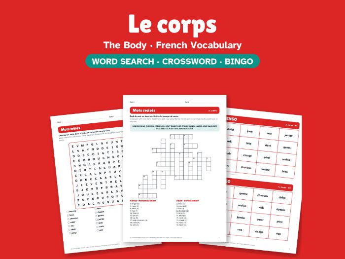 The Body in French: Word Search, Crossword & Bingo