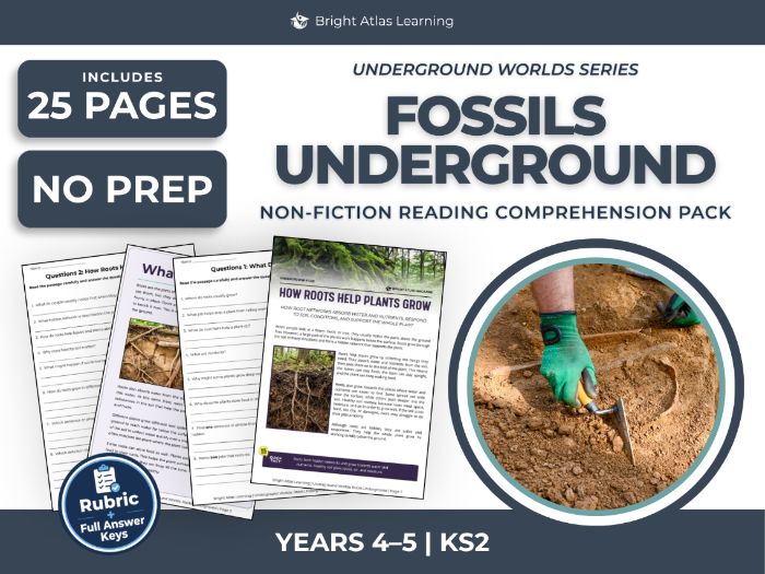 Fossils Reading Comprehension | KS2 Years 4 & 5