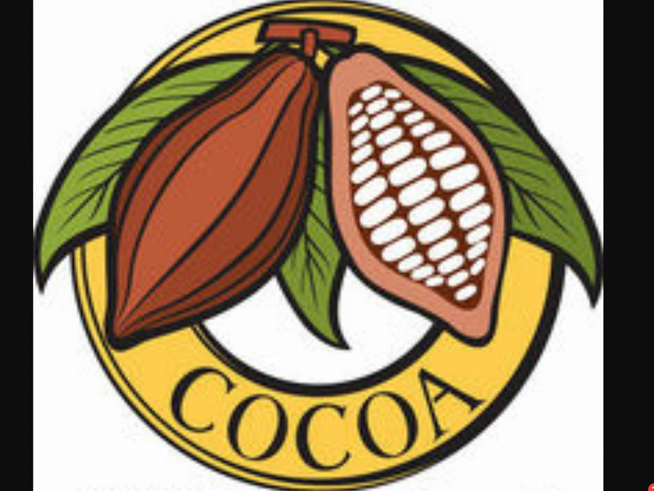 SEN Geography/PSHCE/Fair Trade Cocoa Loco Trading Game Teaching Resources