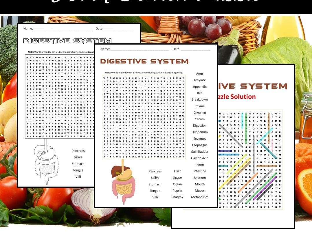 Digestion System Word Search Puzzle | Teaching Resources