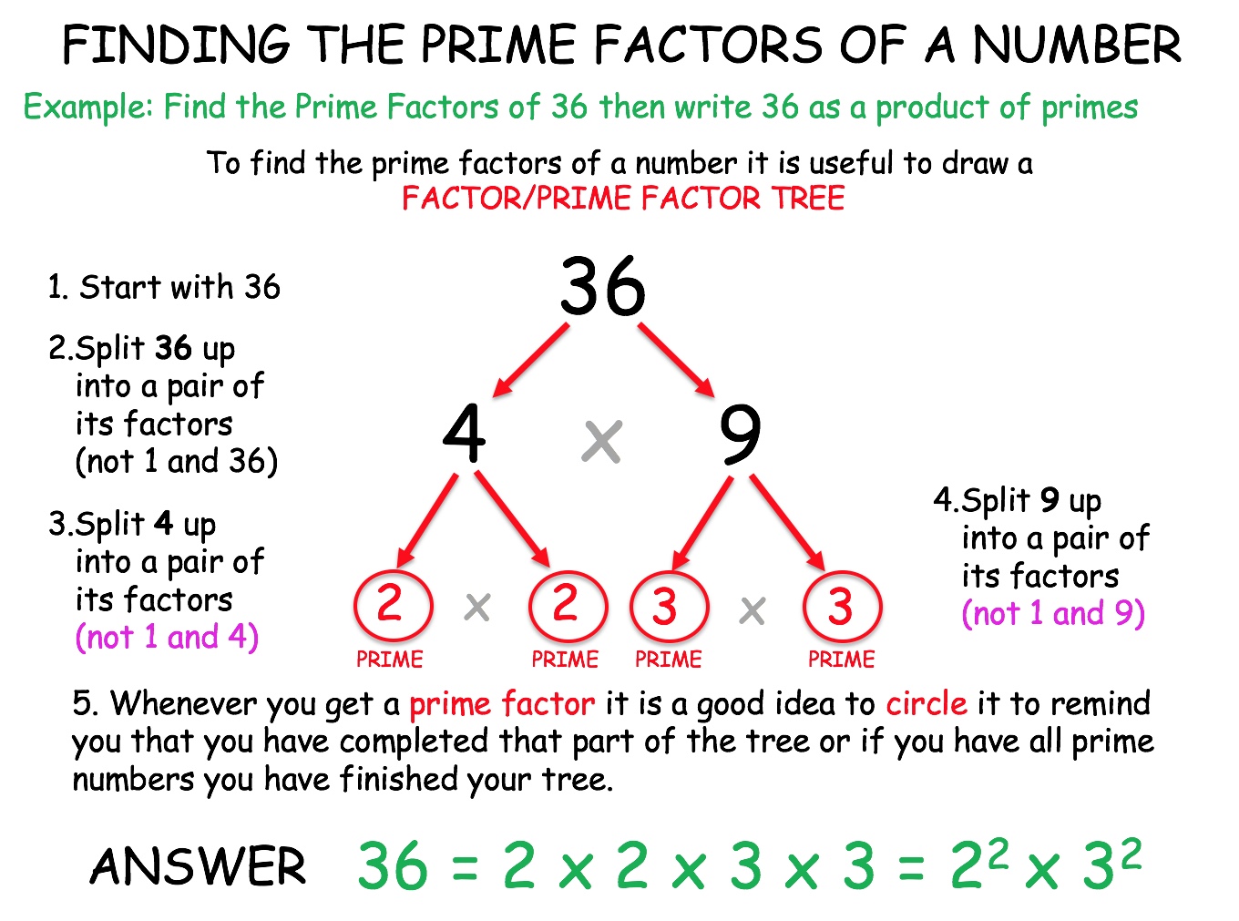 Factor Tree Of 5