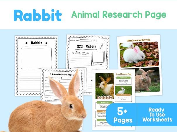 Rabbit Animal Research Page | Mammal Facts and Science Printable