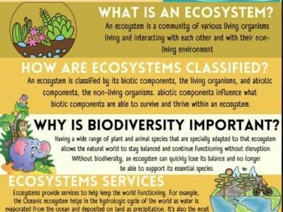 ESS 2.2 Energy and biomass in Ecosystems first exams 2026