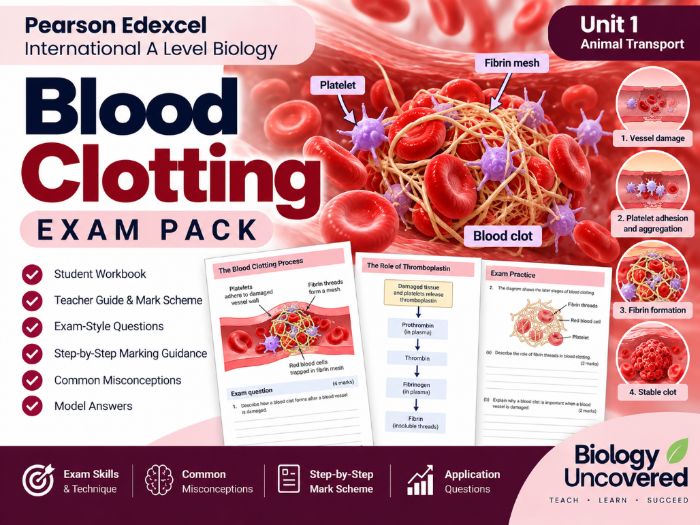 IAL Biology Unit 1: Blood Clotting Exam Pack